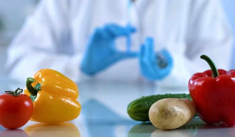 EPO vs EU – Can You Patent a GMO Per Se?