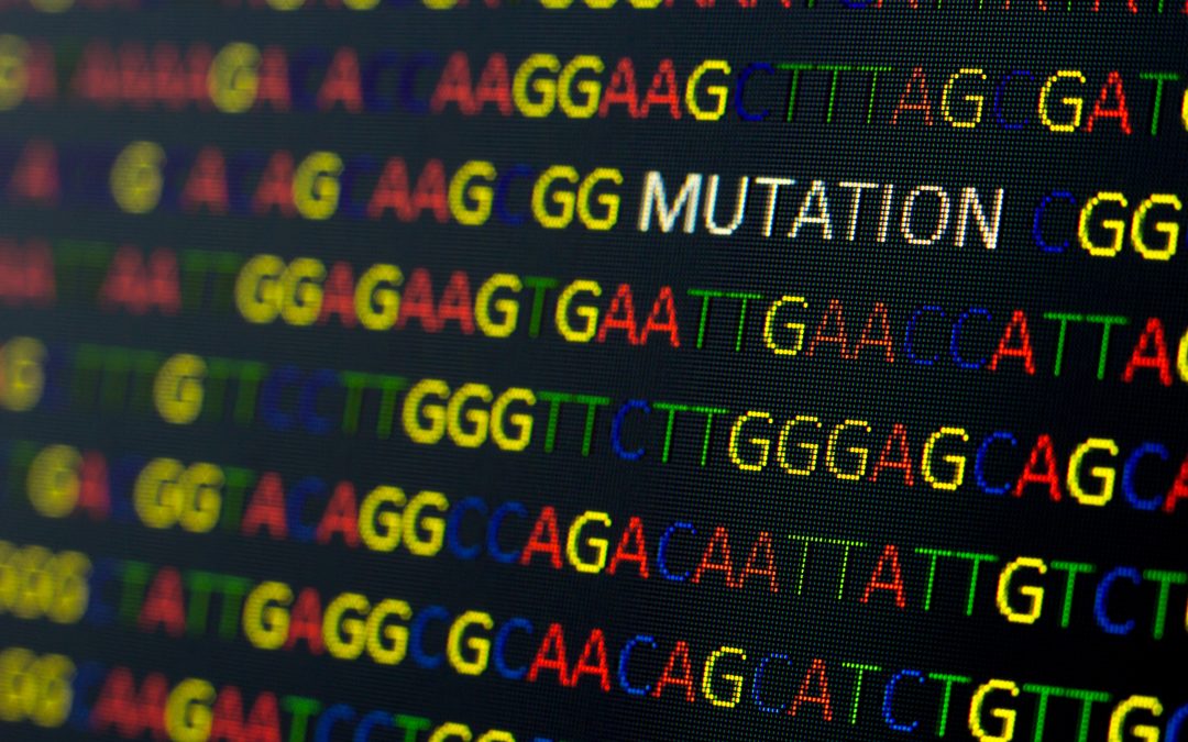 A New Standard for Submitting Protein and Nucleic Acid Sequences – “ST.26”