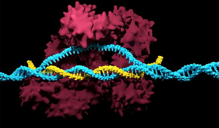 Broad Institute’s CRISPR/Cas9 Patent EP2771468 Revoked
