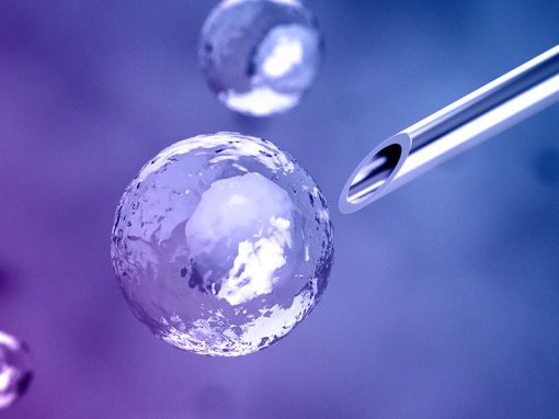 Inventions Concerning Human Embryonic Stem Cells Schlich Article