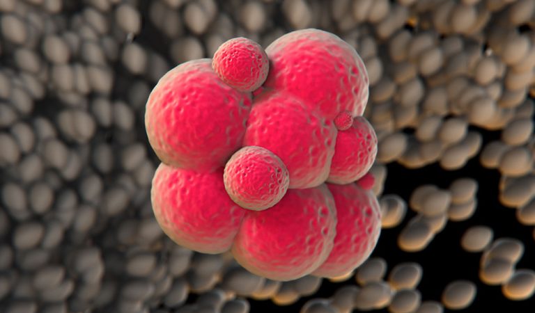 Stem Cell Patents In Europe Schlich Article