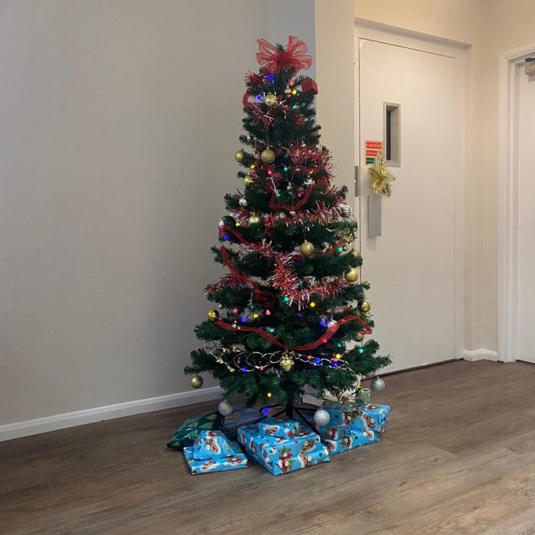 Wrapped presents under the Christmas tree at the Schlich office