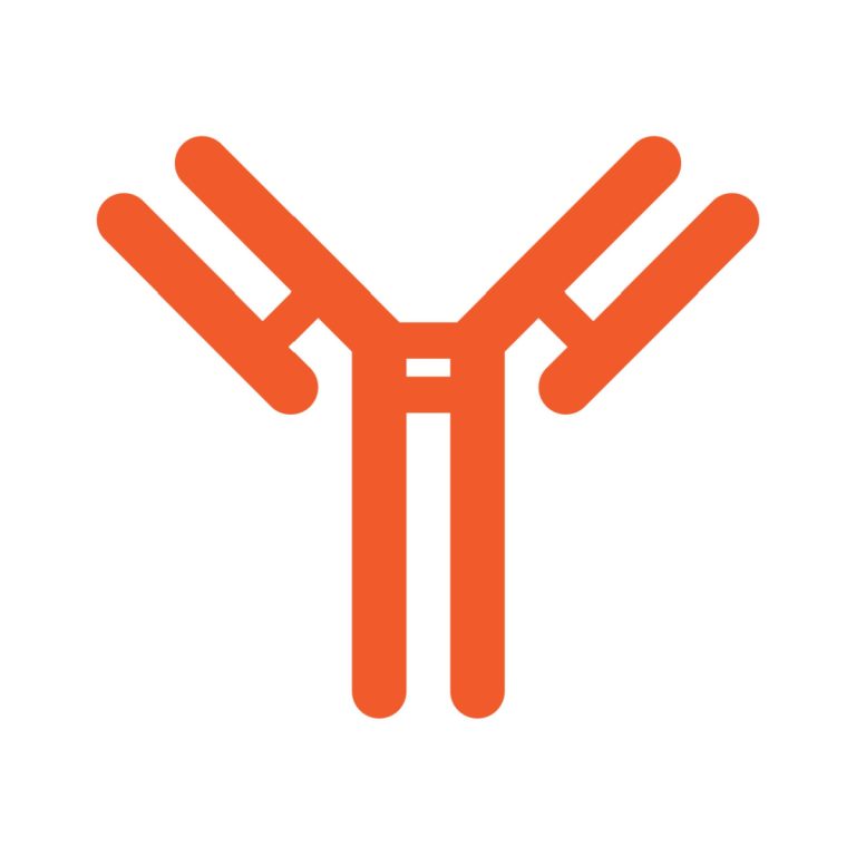 antibody graphic