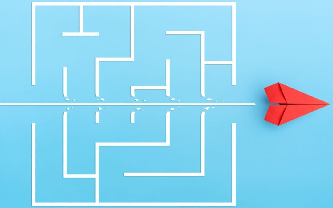 The Maze of Plausibility Case Law: The Referring Board in G 2/21 Suggests a Way Through