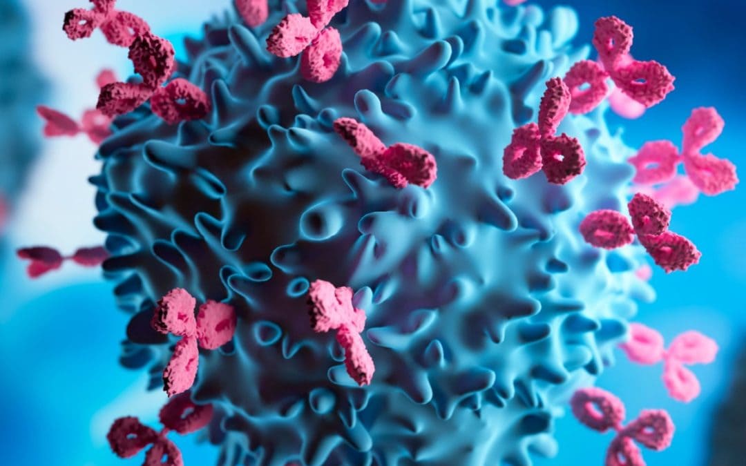 New Hope for Antibody Claims in the US