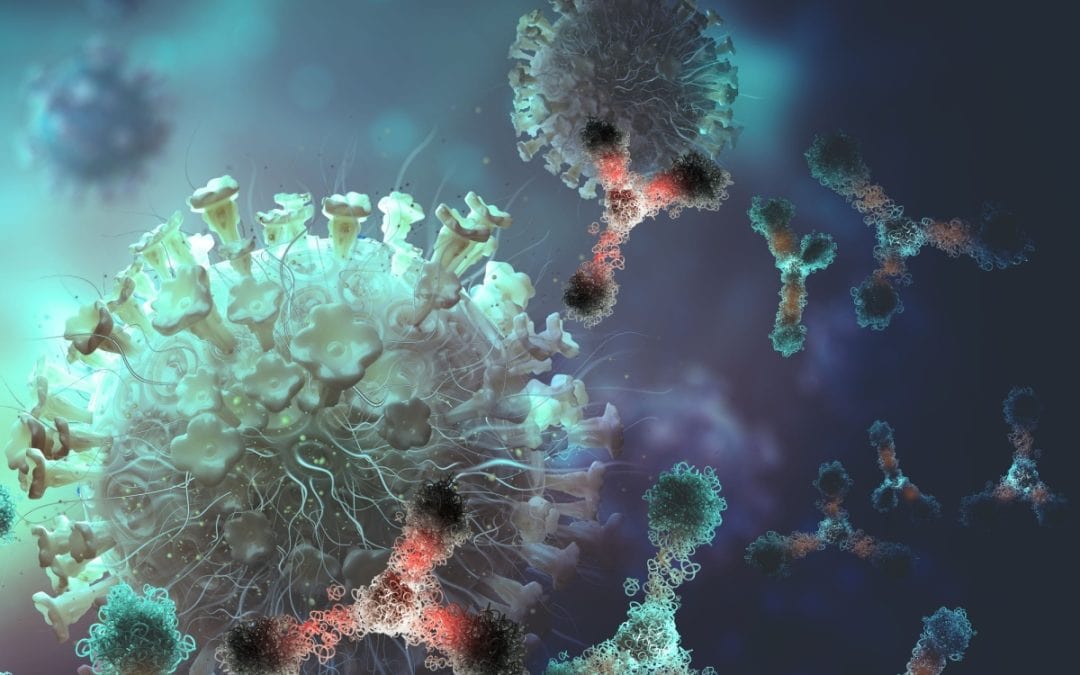 First Revocation Decision of the UPC Confirms the European Approach to Antibody Inventions