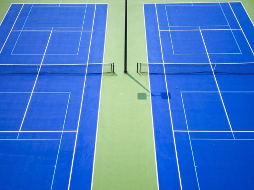 Parallel courts