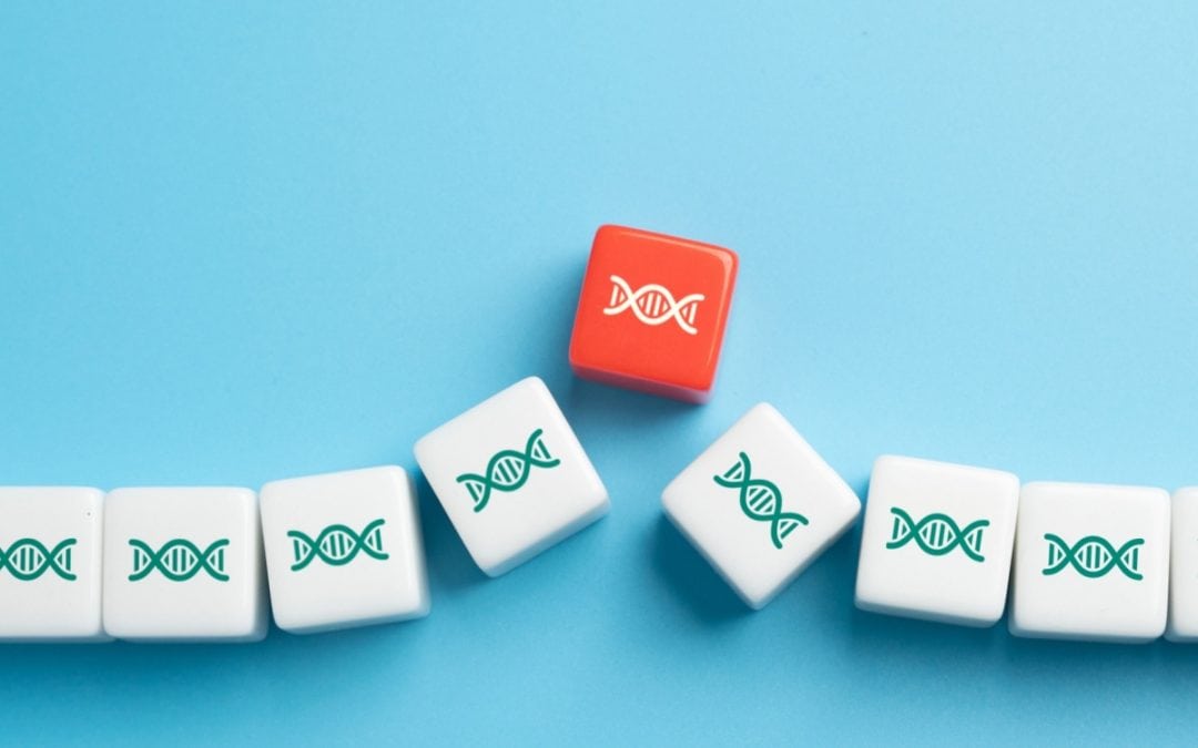 UniQure’s Haemophilia B gene-therapy patent found valid – and infringed by Pfizer