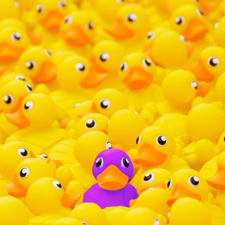 Purple duck standing out against crowd of yellow ducks