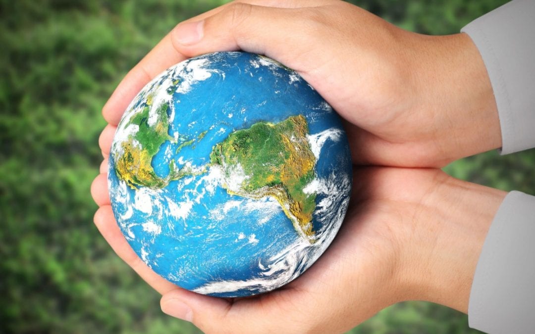 Schlich Endorses Electric Green for The Earthshot Prize 2025!