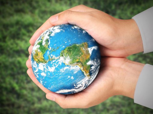 World in hands
