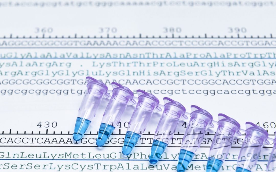 Sequence Identity Claims After T&nbsp;0137/24: How Broad Is Too Broad?
